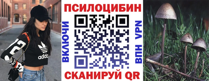 Купить закладки  Малгобек  Псилоцибиновые грибы Magic Shrooms 